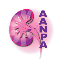 renal system